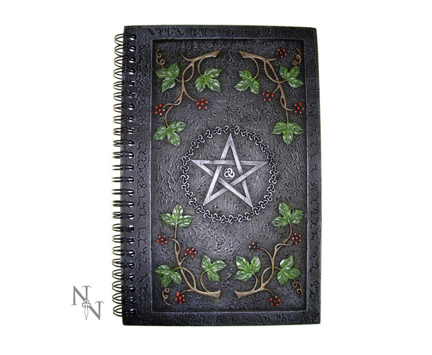 Nemesis Now Wiccan Book of Shadows 24cm Grey,NOW001