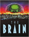 The Brain