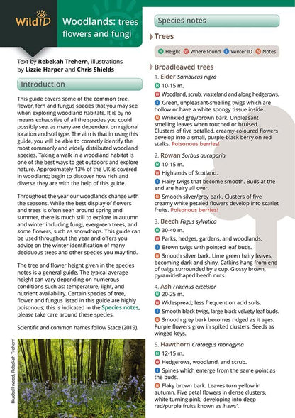 Woodlands: trees, flowers and fungi
