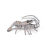 PAPO Marine Life Shrimp Toy Figure, Multi-colour (56053)
