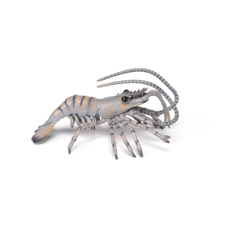 PAPO Marine Life Shrimp Toy Figure, Multi-colour (56053)