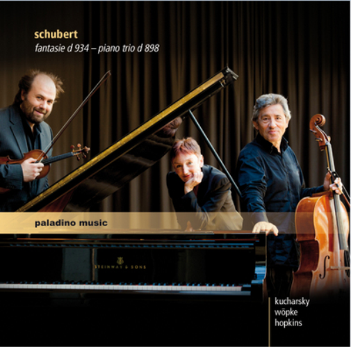 Schubert: Fantasie, D934/Piano Trio, D898