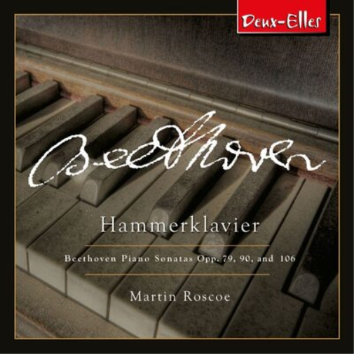 Beethoven: Hammerklavier - Volume 9
