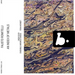 Fausto Romitelli: An Index of Metals
