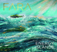 Energy Islands