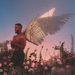 Chroniques D'un Cupidon