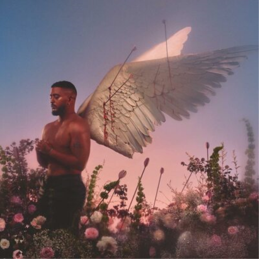Chroniques D'un Cupidon
