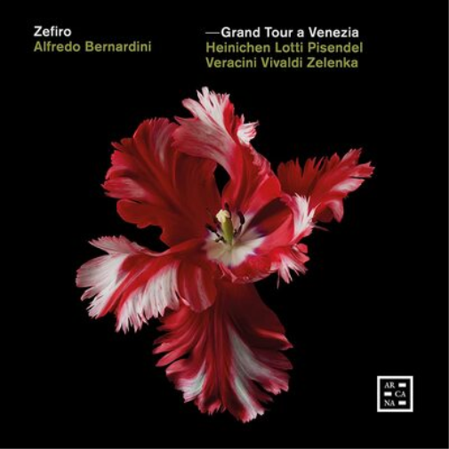 Zefiro: Grand Tour a Venezia