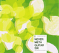 I Never Meteguita Six: Solo Guitars for the 21st Century