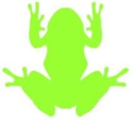 Frog Sticker 29 x 27 cm Colour 531