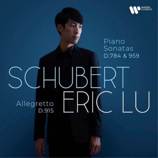 Schubert: Piano Sonatas, D784 & 959/Allegretto, D915