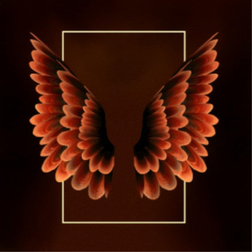 Wings/Back to Africa