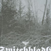 Switchblade (4)