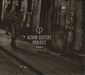 ...Noticed My Heart