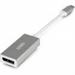 Urban Factory Adaptateur USB-C vers DisplayPort 15cm (gris