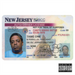 Old Jersey Bastard