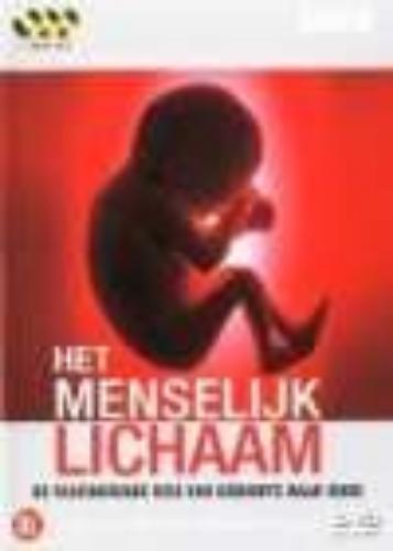 Het Menselijk Lichaam