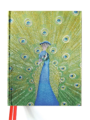 Peacock in Blue and Green (Blank Sketch Book)