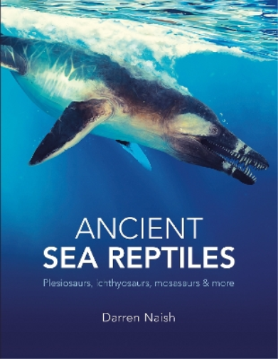 Ancient Sea Reptiles
