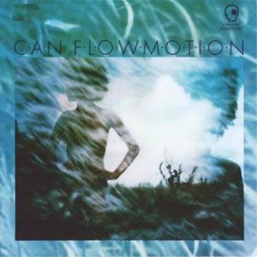 Flow Motion