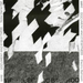Document and Eyewitness