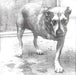 Alice in Chains