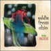 Eddie From Ohio-Big Noise