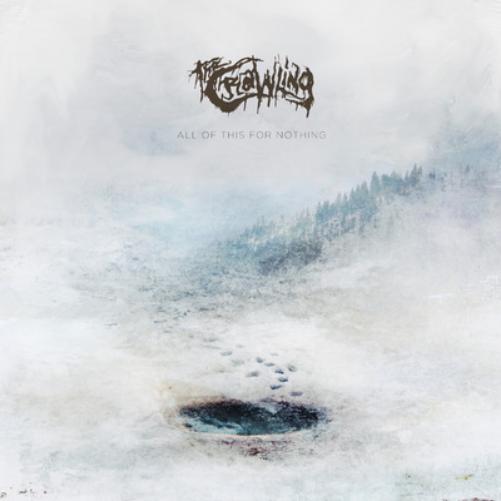 All of This for Nothing