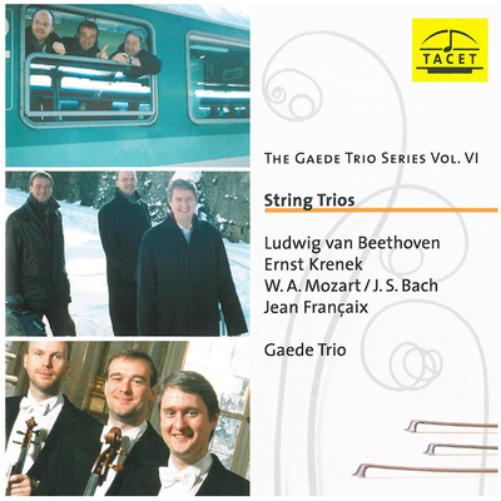 Gaede Trio Series, The - Vol. Vi