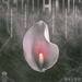 Seduction: Songs By Richard Strauss (Davislim)