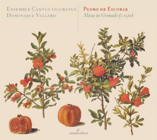 Pedro De Escobar: Missa in Granada