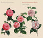 Silvius Leopold Weiss: Suites for Lute