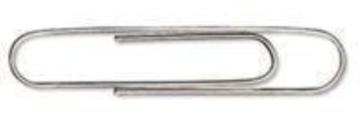 Whitecroft Essentials 33471 32 mm Large Paper Clip (Pack of 250