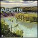 Alberta/wild Roses Northern Lights