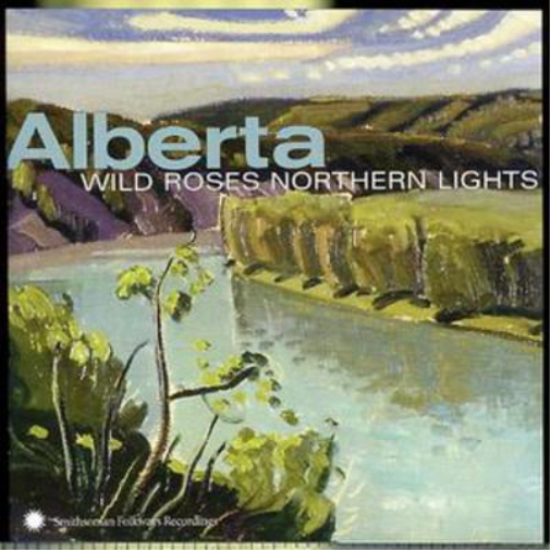 Alberta/wild Roses Northern Lights