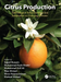 Citrus Production