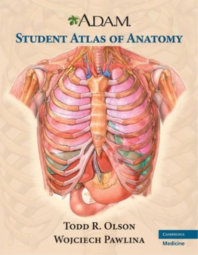A.D.A.M. Student Atlas of Anatomy
