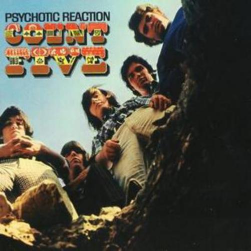 Psychotic Reaction