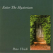 Enter the Mysterium
