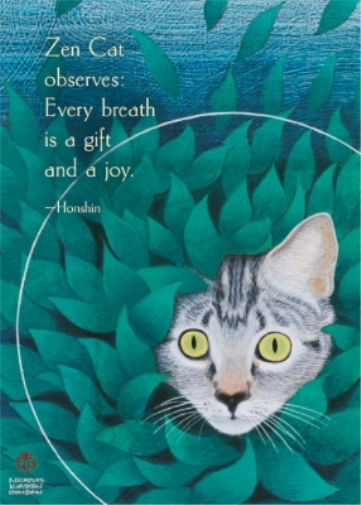 ZEN Cat Observes
