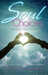 Soul Choices