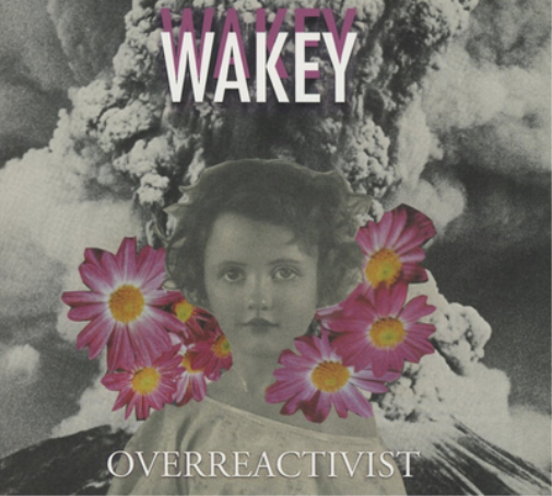 Overreactivist