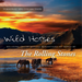Wild Horses: Relaxing Instrumental Renditions of Songs By the Rolling Stones