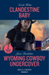 Clandestine Baby / Wyoming Cowboy Undercover