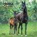 Horse Lovers 2024 Mini 7x7