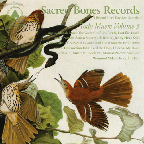 Todo Muere - Volume 5