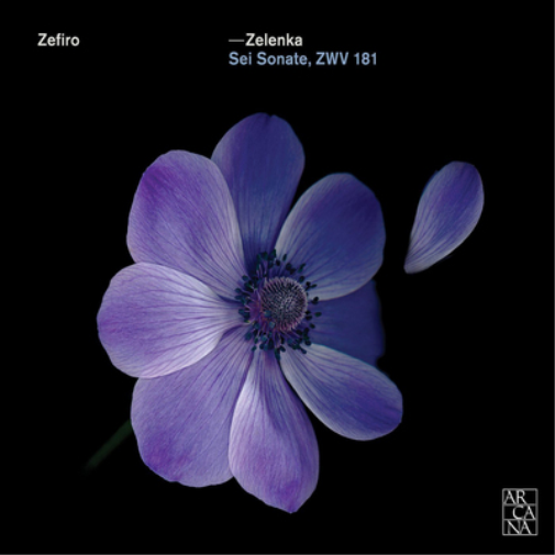 Zelenka: Sei Sonate, ZWV181