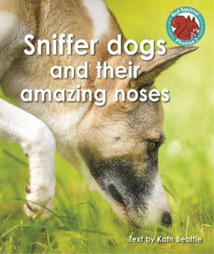 Sniffer dogs and their amazing noses (Red Squirrel Phonics Level 7 Set 2a