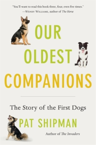 Our Oldest Companions