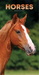 2024 Horse Slim Diary